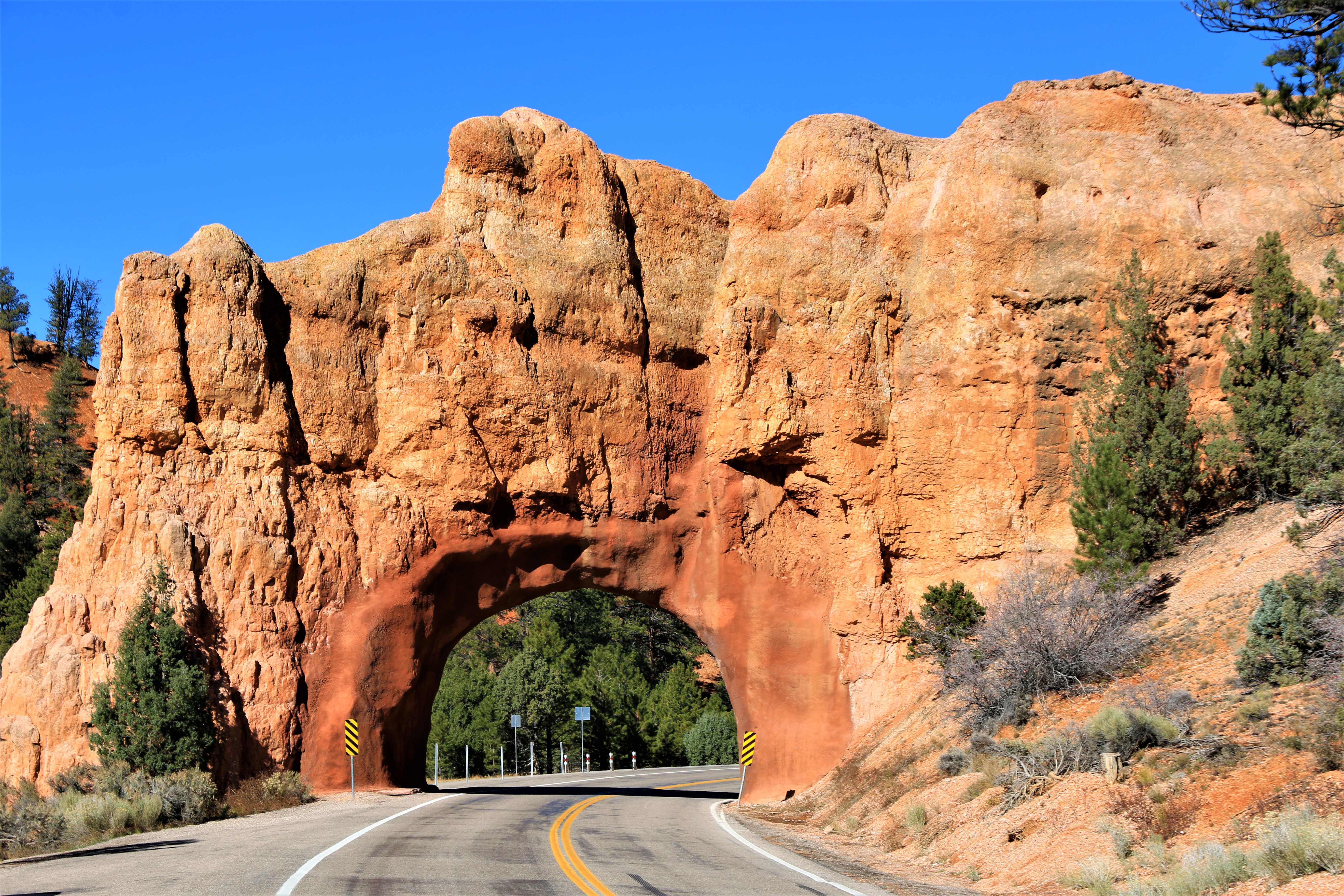 Red Canyon